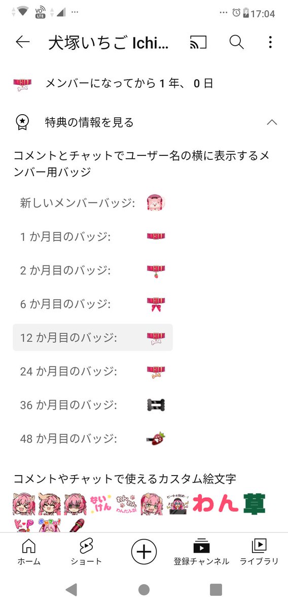 犬塚いちごさん直筆 サイン入り 犬属ギター STORK-KORINA PP-SP'24/NJ | Deviser ｜株式会社ディバイザー