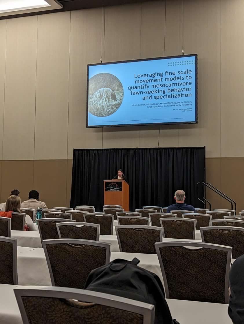 Nicole Gorman tweet media