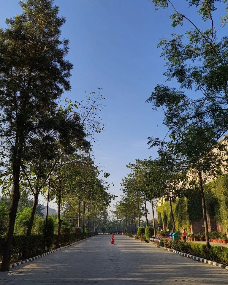 For all our wonderful new #Vertos! 
Here is a mesmerizing picture of one such captivating location at our #BeautifulLPUCampus.
Did you like it?
#LPUForYou #LPUDiaries #LPUReview #BestUniversity #TopUniversity #HappyLPUFamily #HappyVertos #ProudVertos #Fyp #Trending #PeacefulVibes