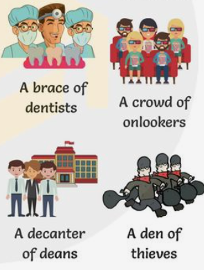 Ian P. McCarthy tweet media