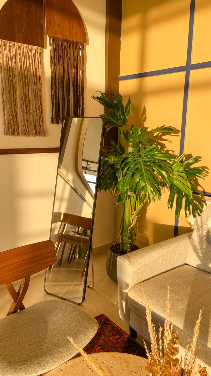 مشعل tweet media