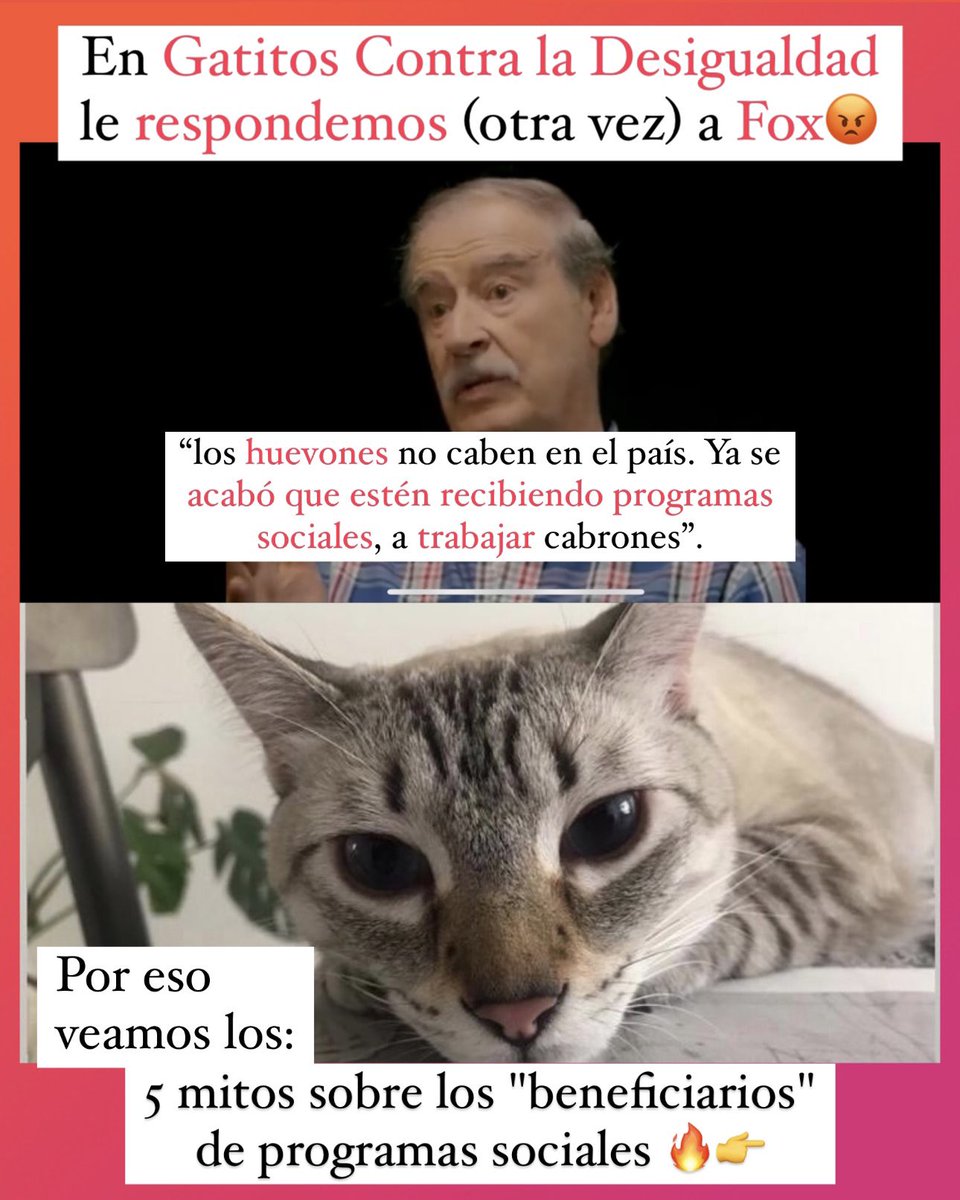 GatitosVsDesig's tweet photo. Miau. Que enojo. 😡 Fox dijo que “los huevones no caben en el país. Ya se acabó que estén recibiendo programas sociales, a trabajar cabrones”. Según él, le pedirá a la pre-candidata del frente opositor que se encargue de eso.
🧵 https://t.co/swUKyK9TD3