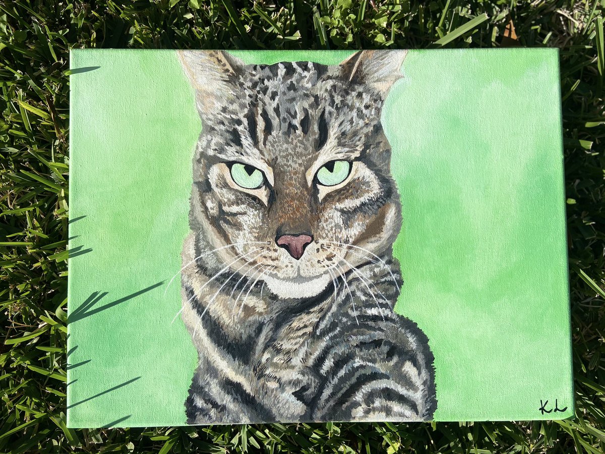 Some of the pet portraits I’ve done 🐱🐶🐾