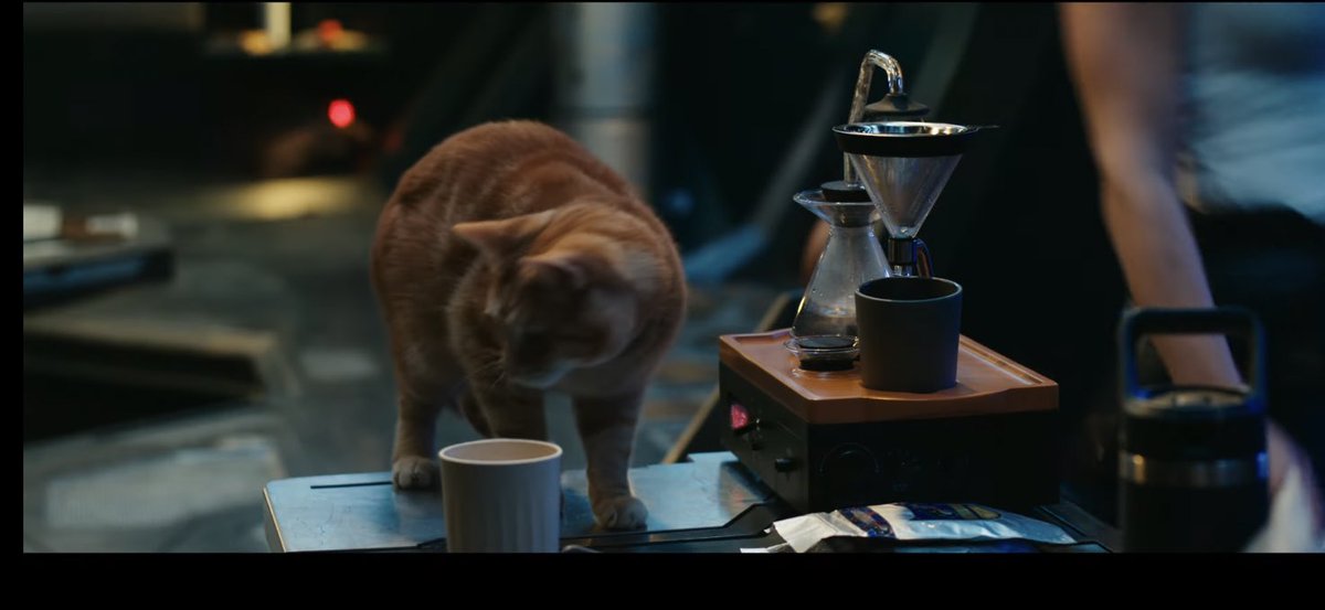 CaptMarvelNews's tweet image. “Carol Danvers! Prodigal child of the milky way” #TheMarvels