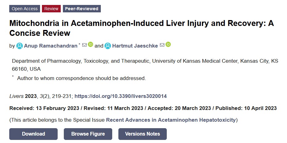 #mdpilivers 
Welcome to read the paper '#Mitochondria in #Acetaminophen-Induced #LiverInjury and #Recovery: A Concise Review' from Dr. Anup Ramachandran and Prof. Dr.  Hartmut Jaeschke.

Free full-text:
mdpi.com/2673-4389/3/2/…