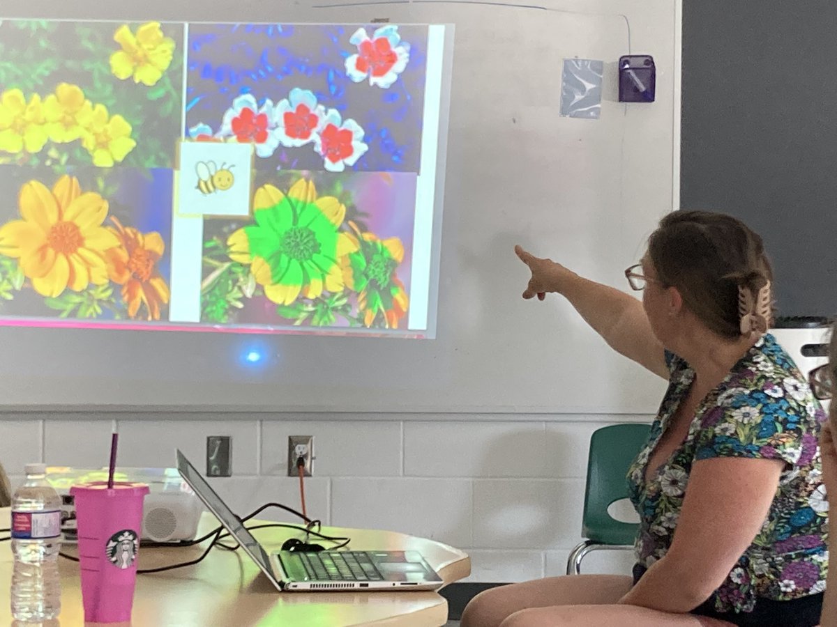 emmoretti's tweet photo. Continued connections to our community-Thank you Vicki Wojcik @Pollinators We learned about pollinators, and specifically BEES🪲🐝 @OntarioSLP @TCDSBSummerLit #TCDSBSummerLearning2023 @TCDSB https://t.co/hdT4BpDno4