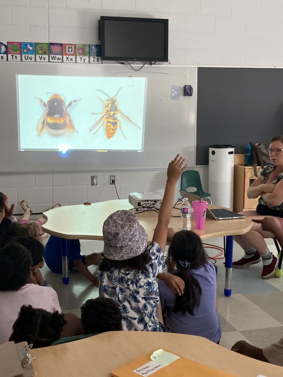 emmoretti's tweet photo. Continued connections to our community-Thank you Vicki Wojcik @Pollinators We learned about pollinators, and specifically BEES🪲🐝 @OntarioSLP @TCDSBSummerLit #TCDSBSummerLearning2023 @TCDSB https://t.co/hdT4BpDno4