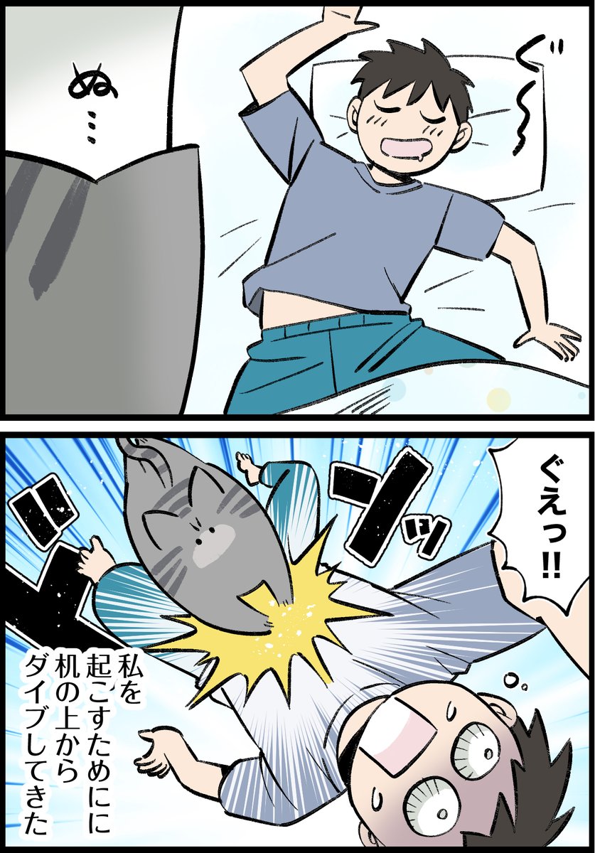 アンケートで聞いた「猫との暮らし」を漫画化しました① 