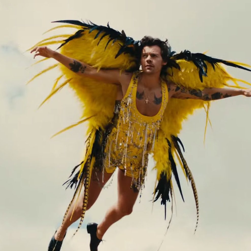 cherryfreak91's tweet photo. agradezco de corazón q los mv de harry se traten de él siendo un pájaro amarillo gigante xq llega a hacer uno como zayn y lo más tranquilo q haría sería meterme cuatro balas en el corazón y dos en el cráneo https://t.co/Ye6y4E9nb2