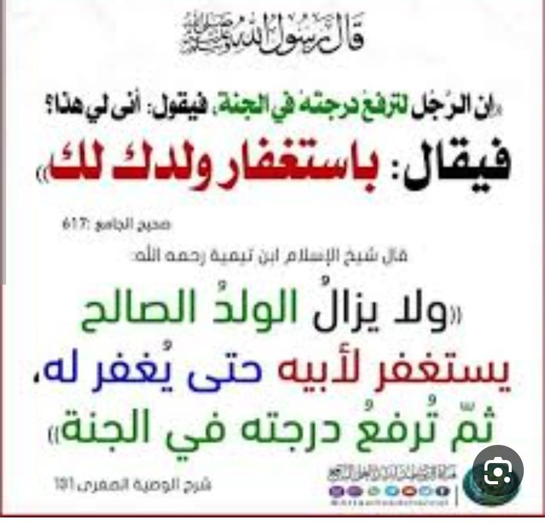 محمد بن يحيى عجيبي tweet media