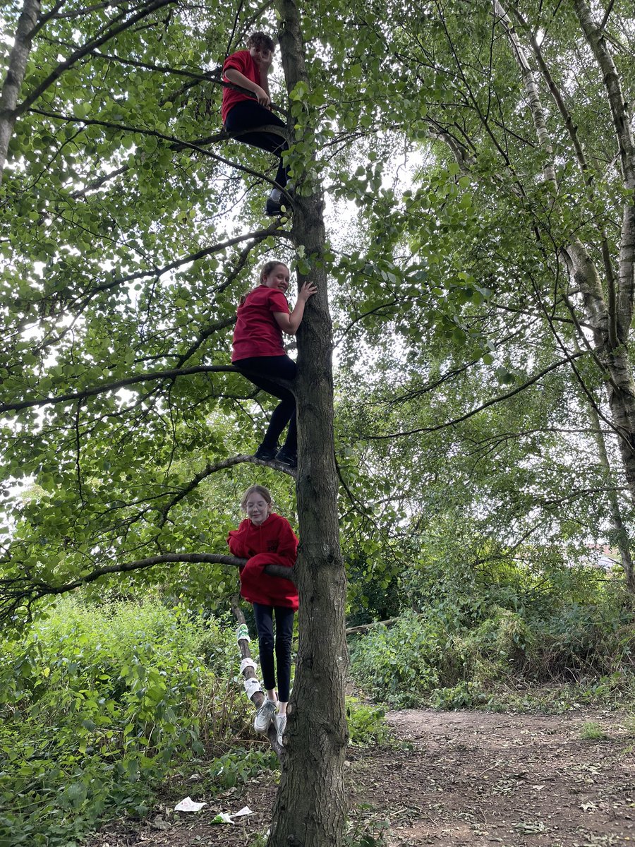 Y6 Silver Birch had one last afternoon of fun with Miss Hill. We really hope they remember how much they love the outdoors as they grow up. @ChildrenNature @SaraBoothCard @OPAL_CIC @AnaArdelean13 @OPALOutdoorplay @LeedsActiveSchs @ludicology @PARK_TUDublin