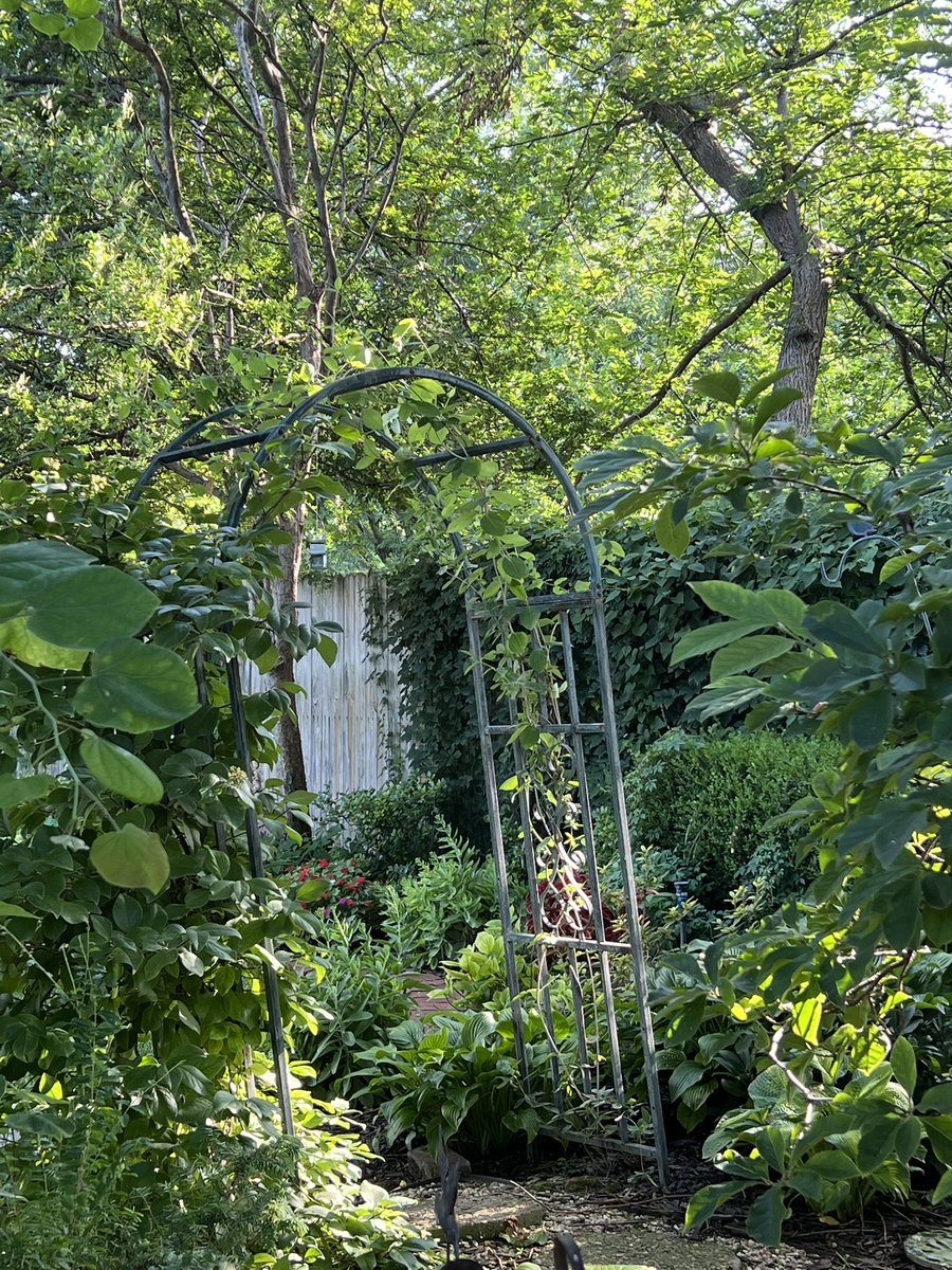 wavyGin's tweet photo. went out in nature. there were bugs. never again. https://t.co/6wepSgbf0a