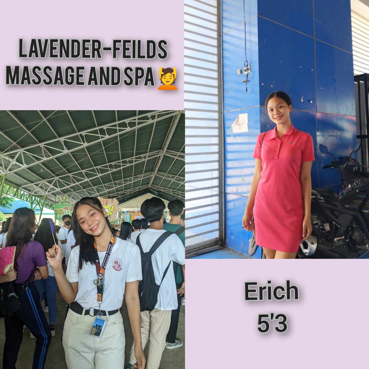 LAVANDER-FIELDS SPA tweet media