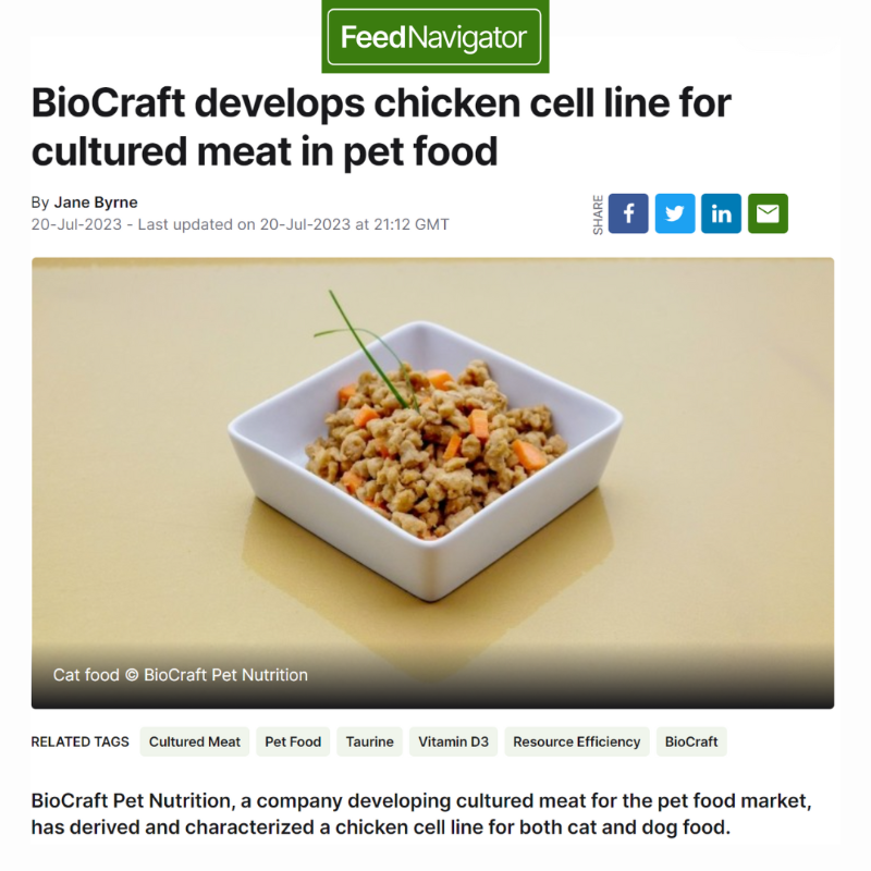 BioCraftPet's tweet photo. Our proprietary chicken cell line is making headlines! ๐๐ฑ
Explore our progress in production efficiency, regulations, resource efficiency, and sustainability with this article from @FeedNavigator.
#SustainablePetFood #CulturedMeat #BioCraft ๐