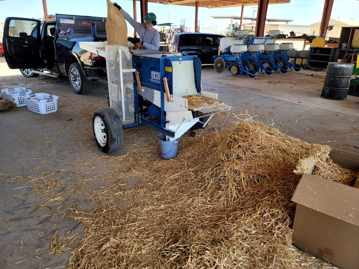 DebankurSanyal's tweet photo. And we finished threshing #wheat and #barley. Chaz Stackpole took the lead again, and we finished threshing 60+ sacks of grains! Great learning experience operating this portable thresher!
#deficitirrigation
#savewater
#HealthyDesertSoilsInitiative
#UASoilHealthExtension https://t.co/v1yNCqmFW0