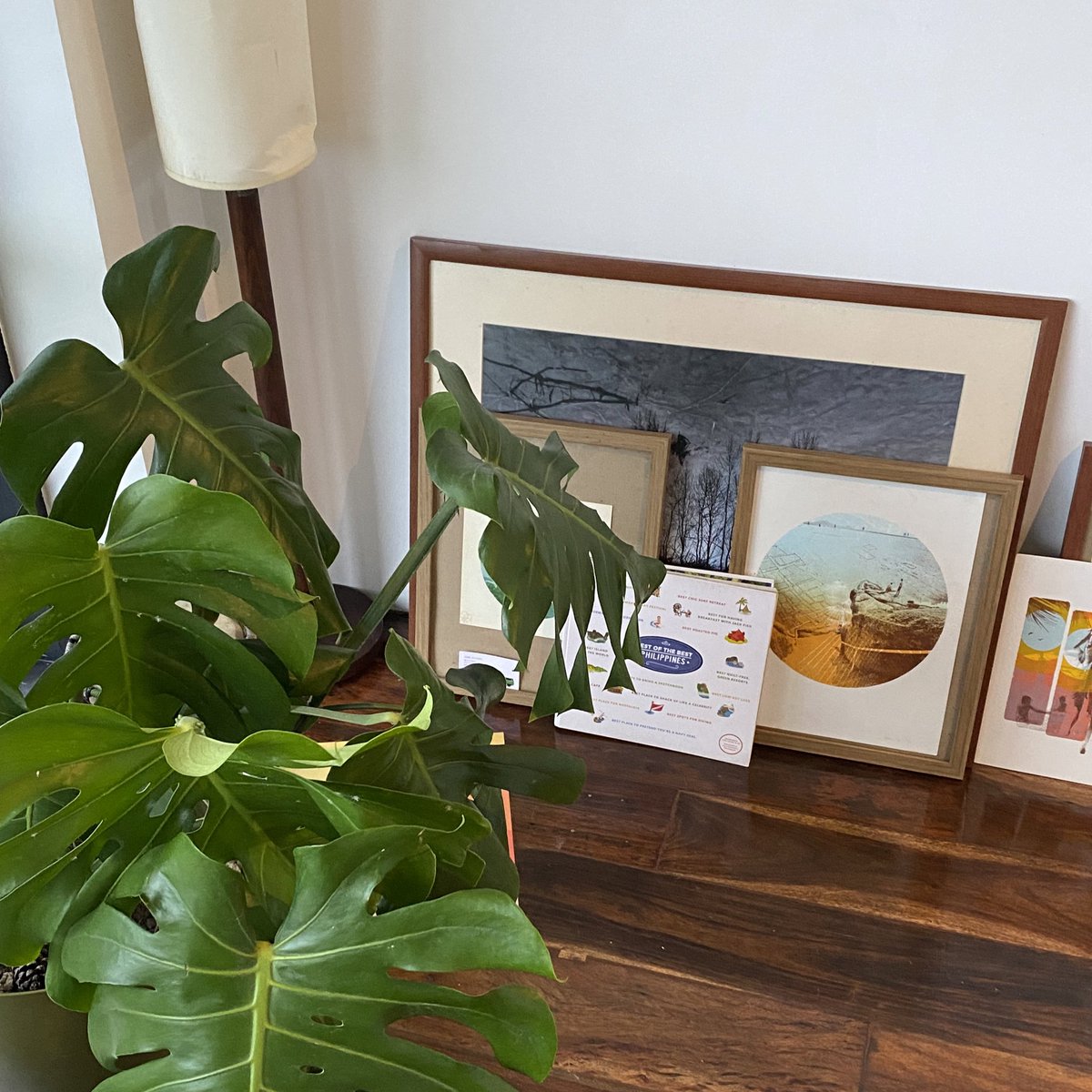 lovefies's tweet image. …💭 quiet corner