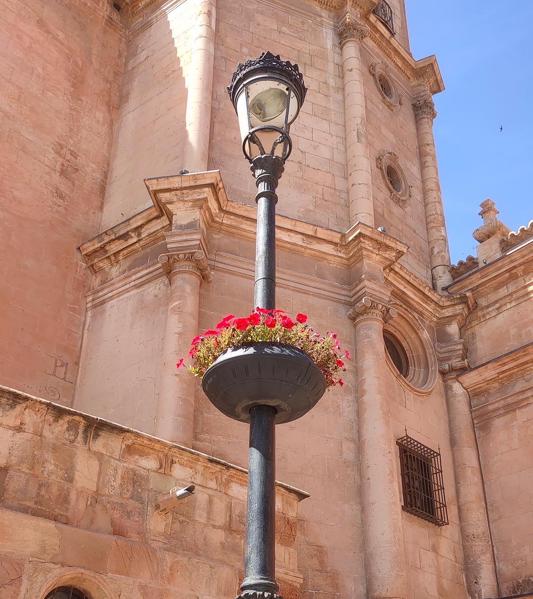 sky7_es's tweet photo. ☀️🌸Incluso en la época de tanto calor, las raíces de las flores siguen estando protegidas por los maceteros de la marca SKY7.

Entregas en toda España 🚚🇪🇸

#sky7españa #macetasexterior #macetasfarola #macetasjardin #macetasespaña #macetasautoriego #macetasdoblepared #papeleras https://t.co/4OWLNuS2zT