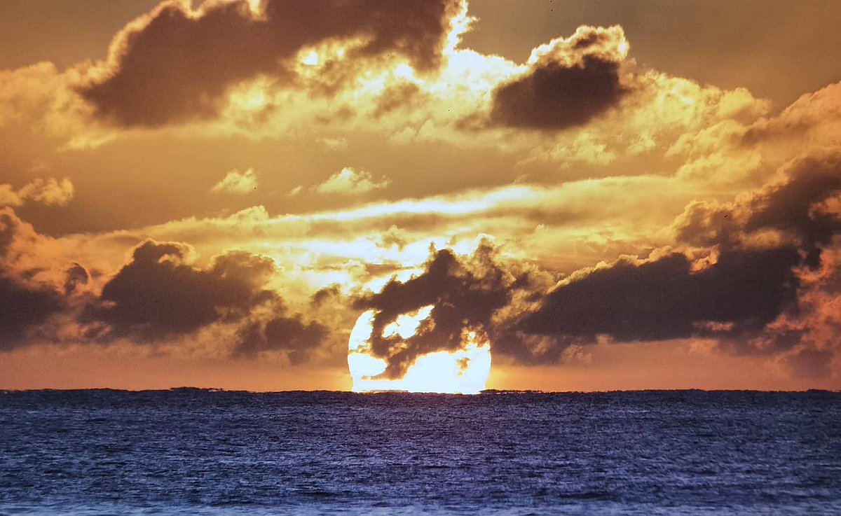 BriskBlackMamba tweet media