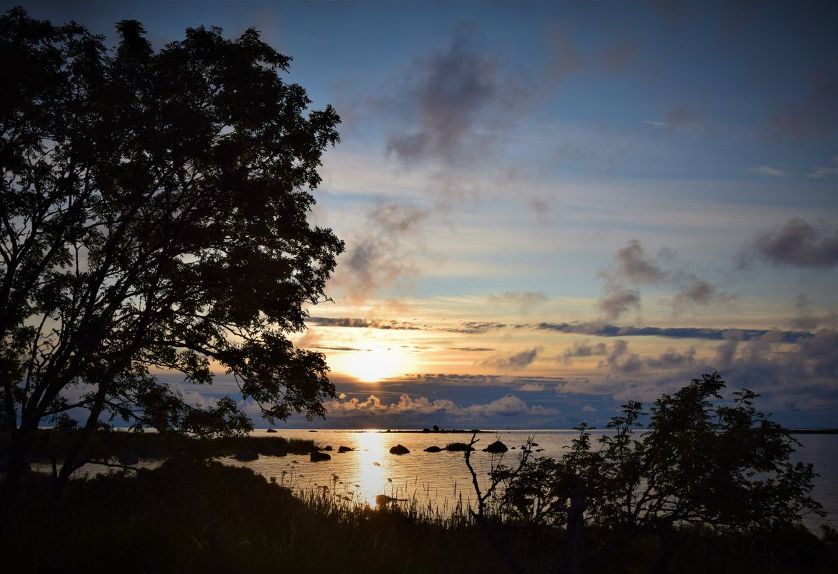 karl_w_nyman's tweet photo. Fredagsmorgon på Storskär. Ha en bra helg allihopa! #archipelago #storskär #maalahti #malax #vaasa #vasa #finland https://t.co/sbmURXAjtO