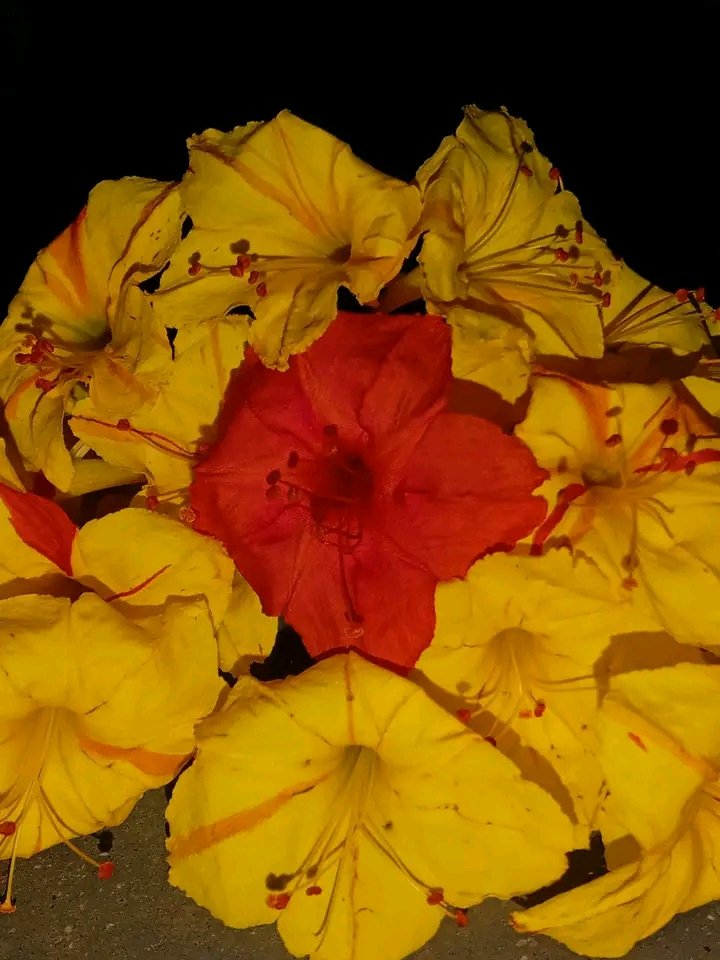 কেমন