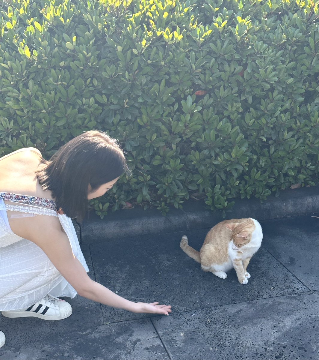 RBW_PURPLEKISS's tweet photo. [#고은]
🍊레고 in jeju🍊 https://t.co/NRdfjNvcNg