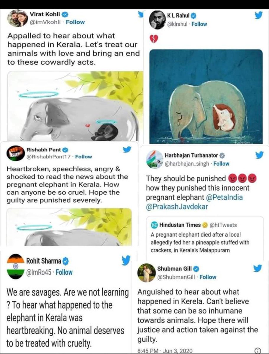 asipnm's tweet photo. These so called celebrity of our India are still silent on #Manipur topic.
You all guys live in which bubble that you can't see what is happening in India. You all say i am representing but when it comes to take stand you all are silent.
#ManipurViolence #ViratKohli #RohitSharma https://t.co/puhVtY0RSv