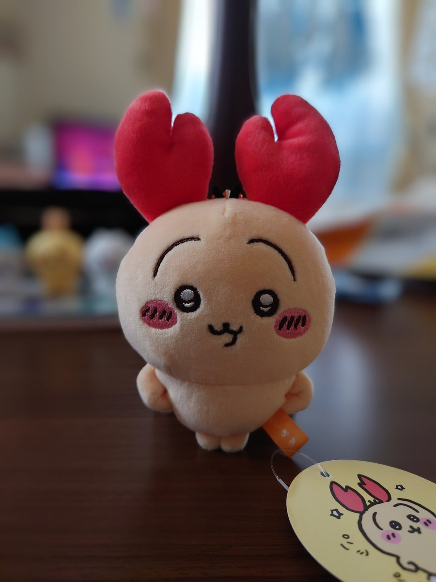 ロブスターなうさぎ