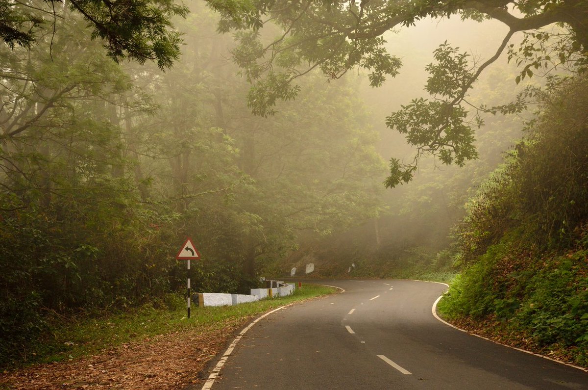 Why I love the Western Ghats of India lakshmisharath.com/ten-reasons-wh…  #ontheblog