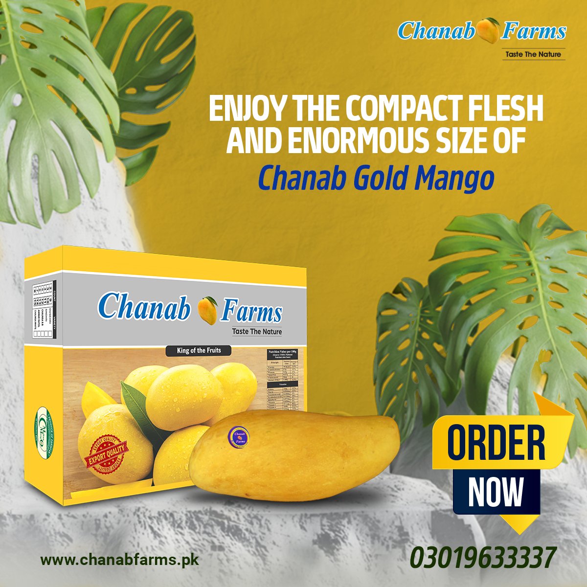 Chanab Mango Farms (@Chanabmangofarm) / Posts / X