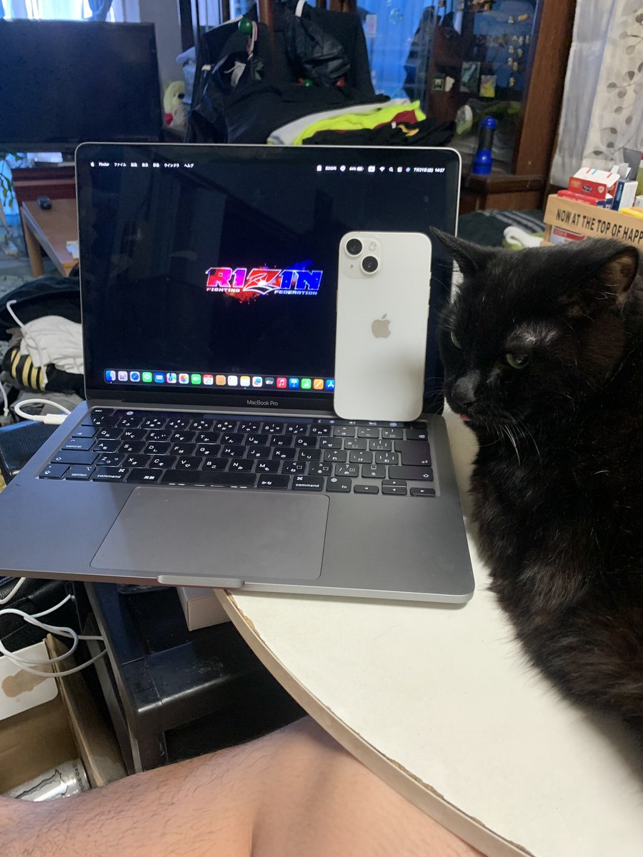 tmtm0722's tweet photo. MacBookも換えたしiPhoneも換えたし
髪も切ったしあとは夜1本仕事！

これで30歳終わり👍

くぅくんもウチに来てから
13年が経ちました。 https://t.co/sw3OwbTcMg
