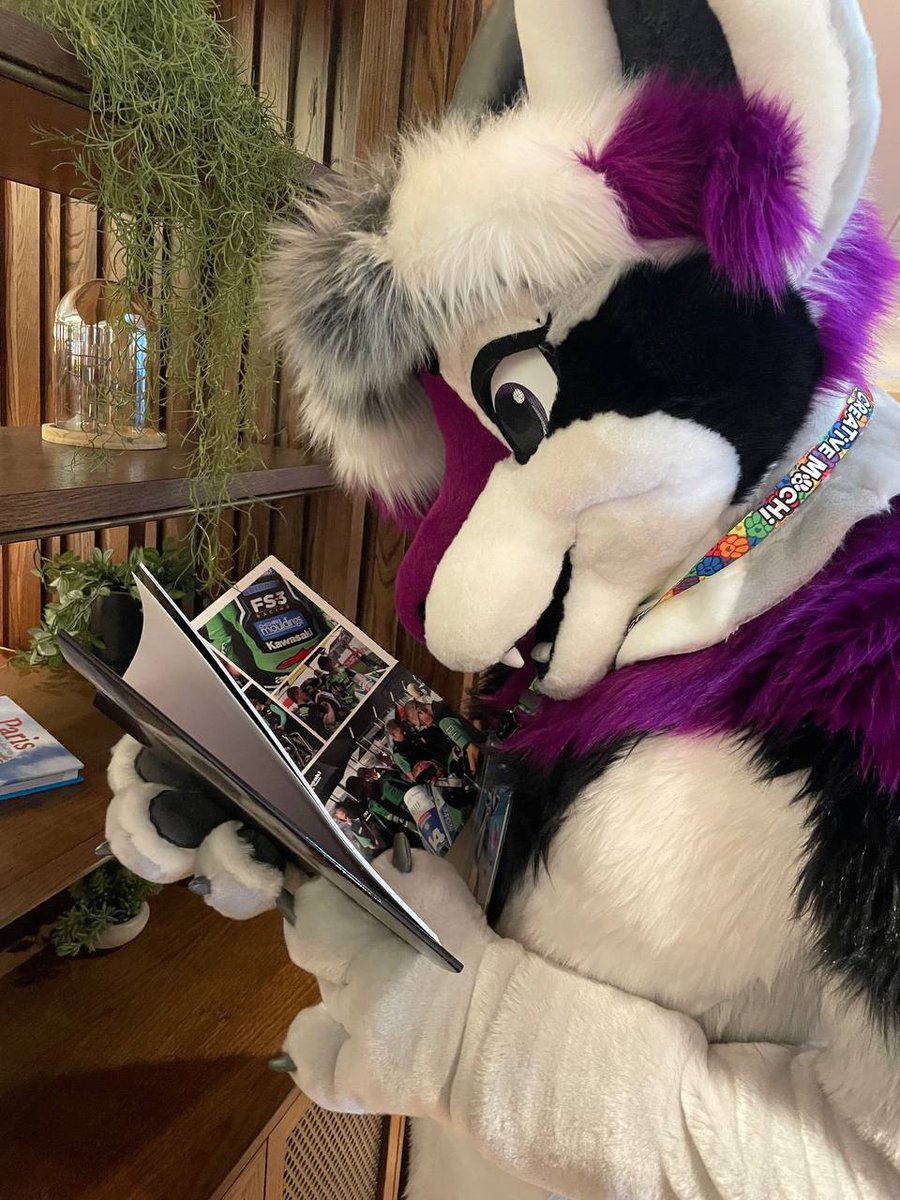 FursuitGrace's tweet photo. "Hey, what are you reading"

Dunno, but it had lots of pretty pictures :3

#FursuitFriday https://t.co/YAoKgzfFTR