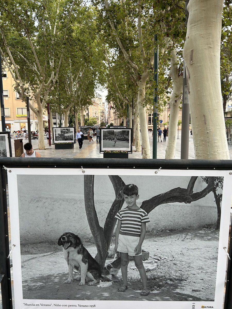Fotografías de Juan López <a href="/centenariojuanl/">centenariojuanlopez</a> 
Avenida Alfonso X. Verano en Murcia años 60/80 <a href="/AytoMurcia/">Ayuntamiento de Murcia</a> <a href="/DiegoAviles_/">Diego Avilés</a> 
 #DiaMundialDelPerro