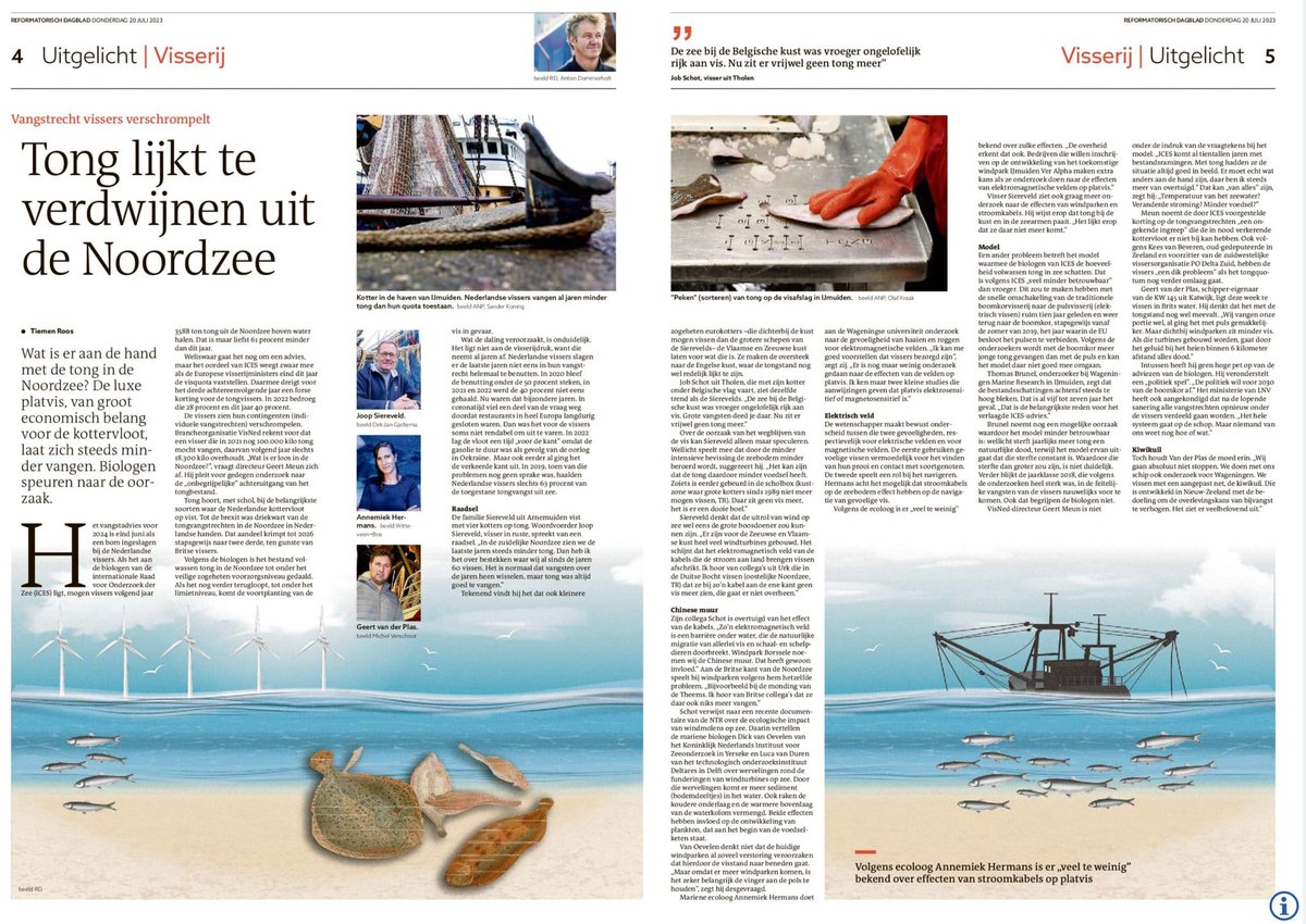 Dat #windparken het onderwaterleven verstoren, is aannemelijk, schetst <a href="/refdag/">RD.nl</a>. Mogelijke oorzaken zijn #straling en #vertroebeling. Puls valt af, want is verboden en #vissers zijn gedecimeerd. 

Intussen blijft het muisstil bij de 'beschermers' van @denoordzee en <a href="/GreenpeaceNL/">Greenpeace Nederland</a>