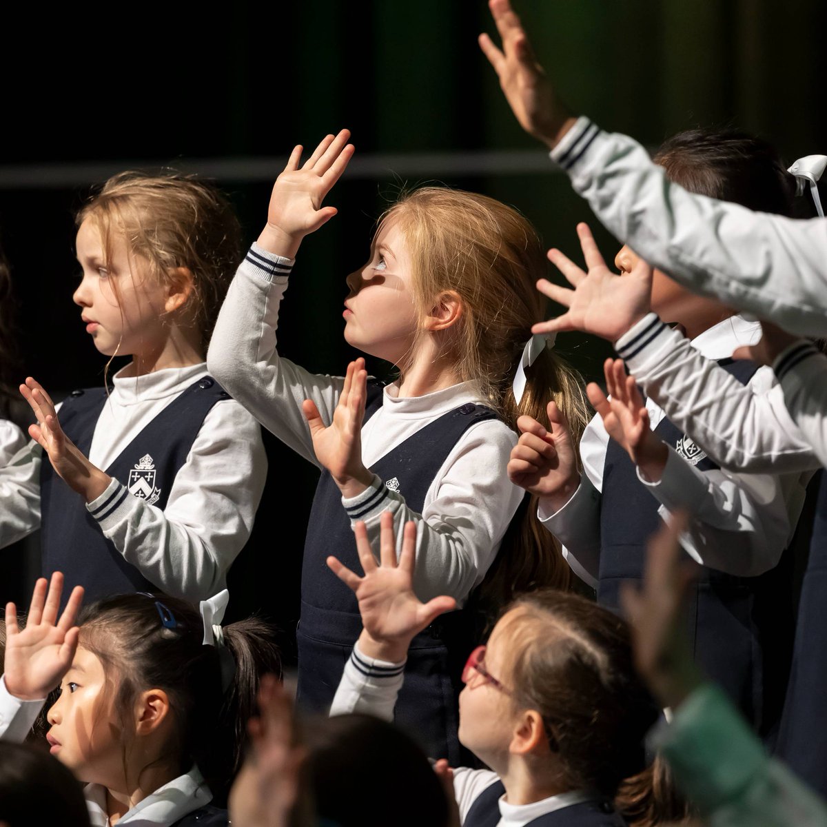 Melbourne Girls Grammar tweet media