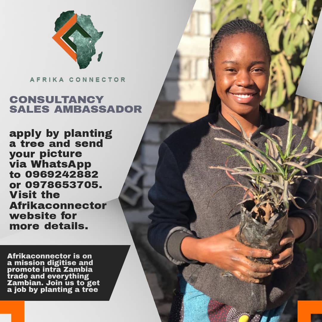 Jobs for everyone when you plant a tree @EmbZambia @UNZambia @comesa_lusaka @MC_ZanacoCEO @AfDB_Group @HanganduViolet @MYZNBC @UBAZambia @COMACO_Zambia @sadcpf @GivenLubindaMP @ceeczambia @wecsz_official