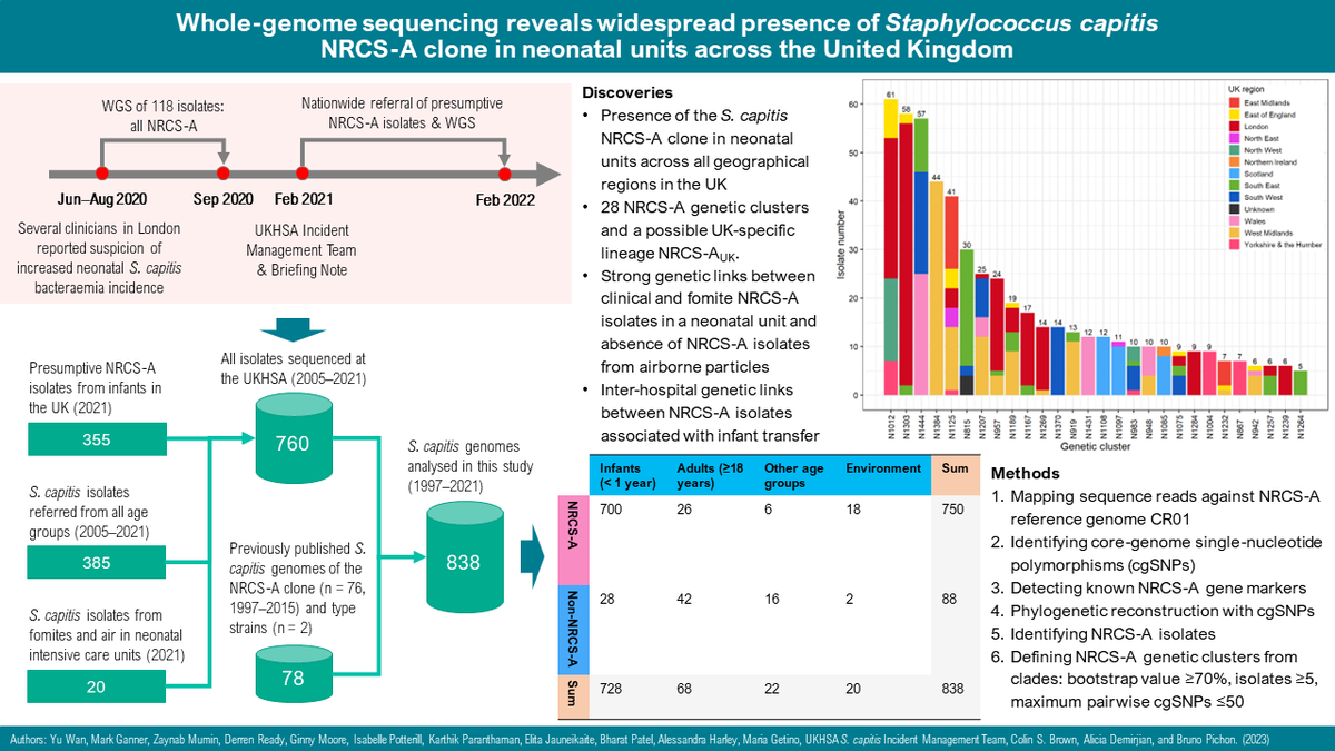 Yu Wan 万宇 tweet media