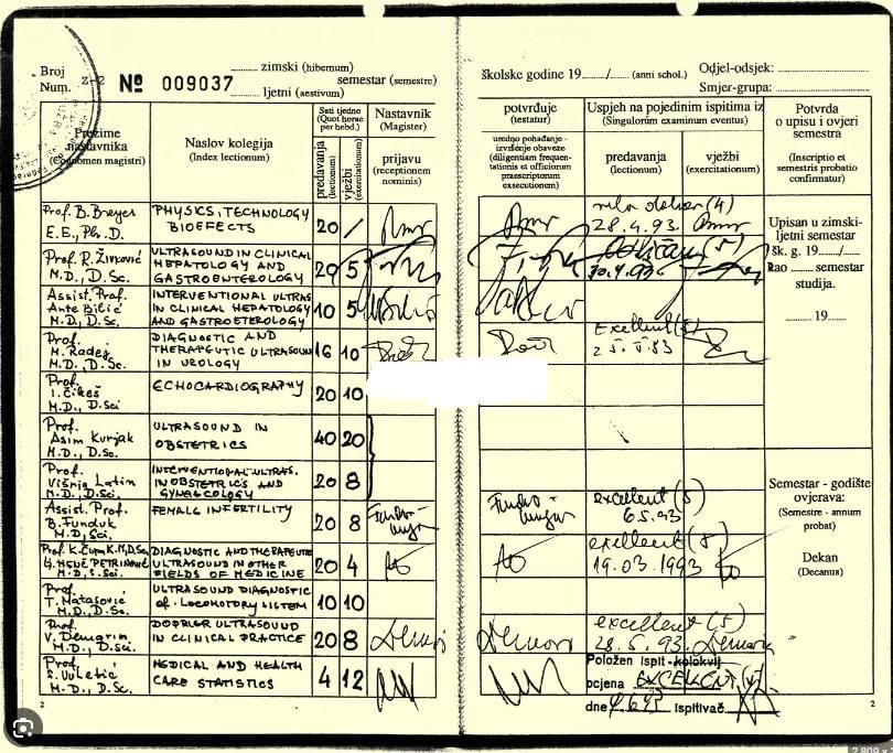 Ivana Marić tweet media