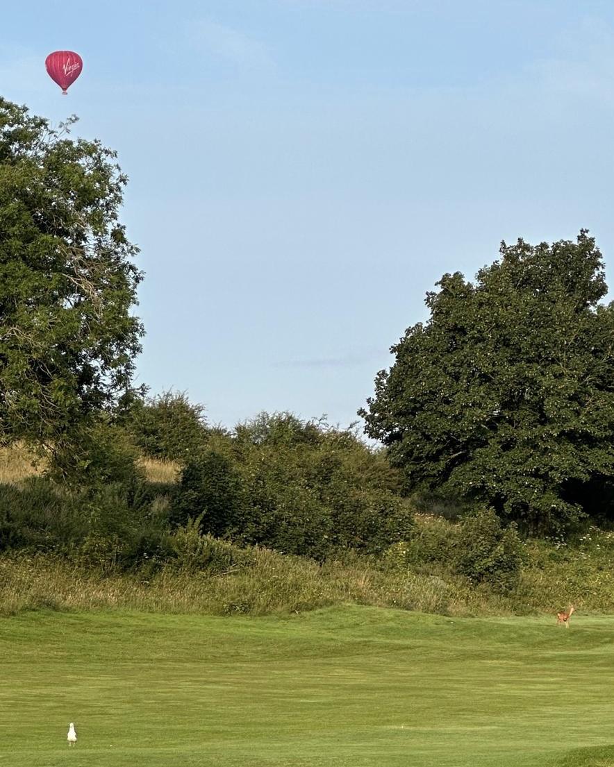 Now, this is a tough one. Give it your best shot 😉 “Guess the hole”.
#finditfriday