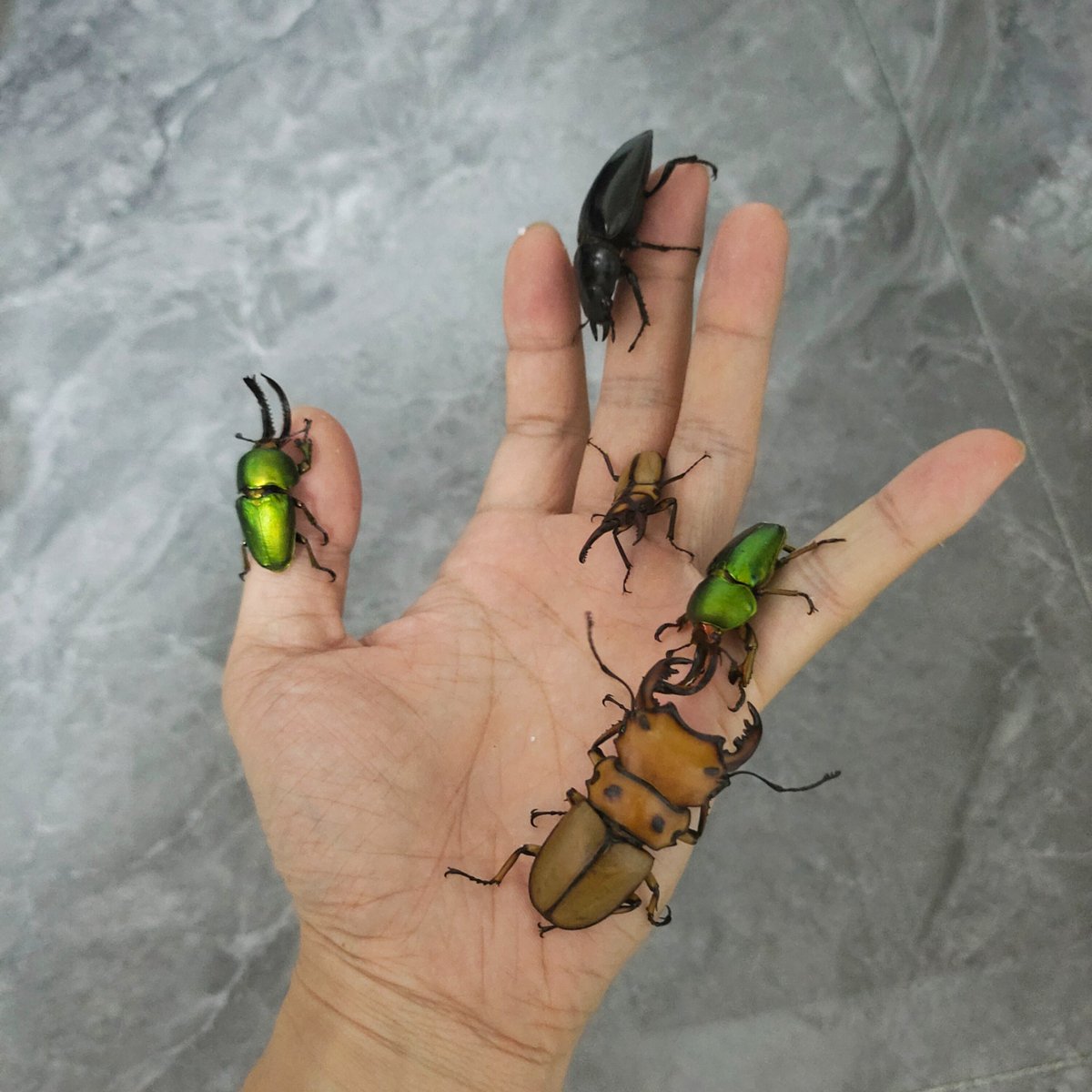 Gggggg (@glgo84) on Twitter photo 