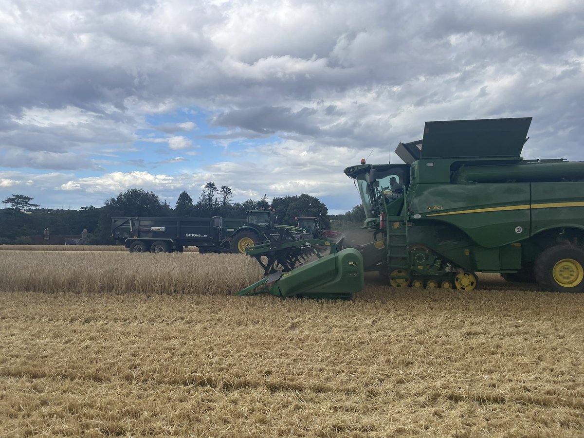 Busy time of year for us at the moment, with onions, potatoes and cereals being harvested all at the same time! <a href="/3musketeersltd/">Three Musketeers</a> <a href="/SuffolkProduce/">Suffolk Produce</a> <a href="/samcollins6250R/">Sam Collins</a>