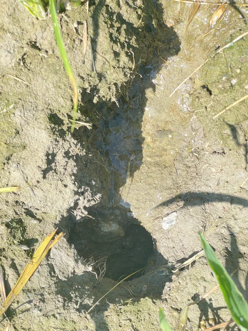 おいおい