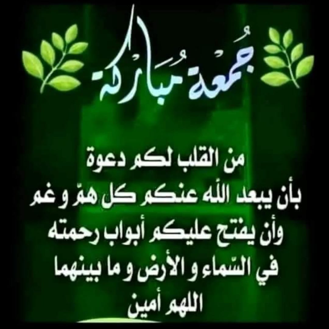 حماده سلامه tweet media