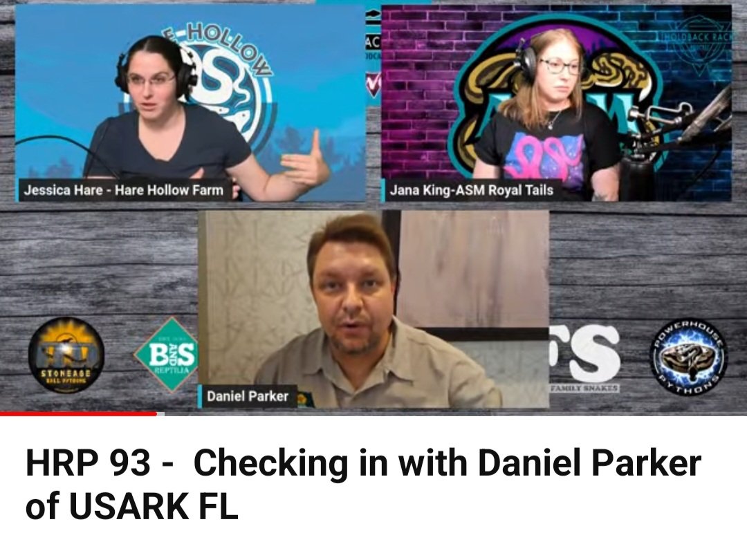 USARKFlorida's tweet photo. Daniel Parker of USARK FL appeared on the Holdback Rack podcast with Jessica Hare and Jana King to discuss the FWC Meeting. We thank Jessica and Jana for their support of USARK FL!
https://t.co/wu7EpOcW6H

#holdbackrack #fwc #fieldherping #colubrids #savefloridaspets https://t.co/dWm42sNOxg