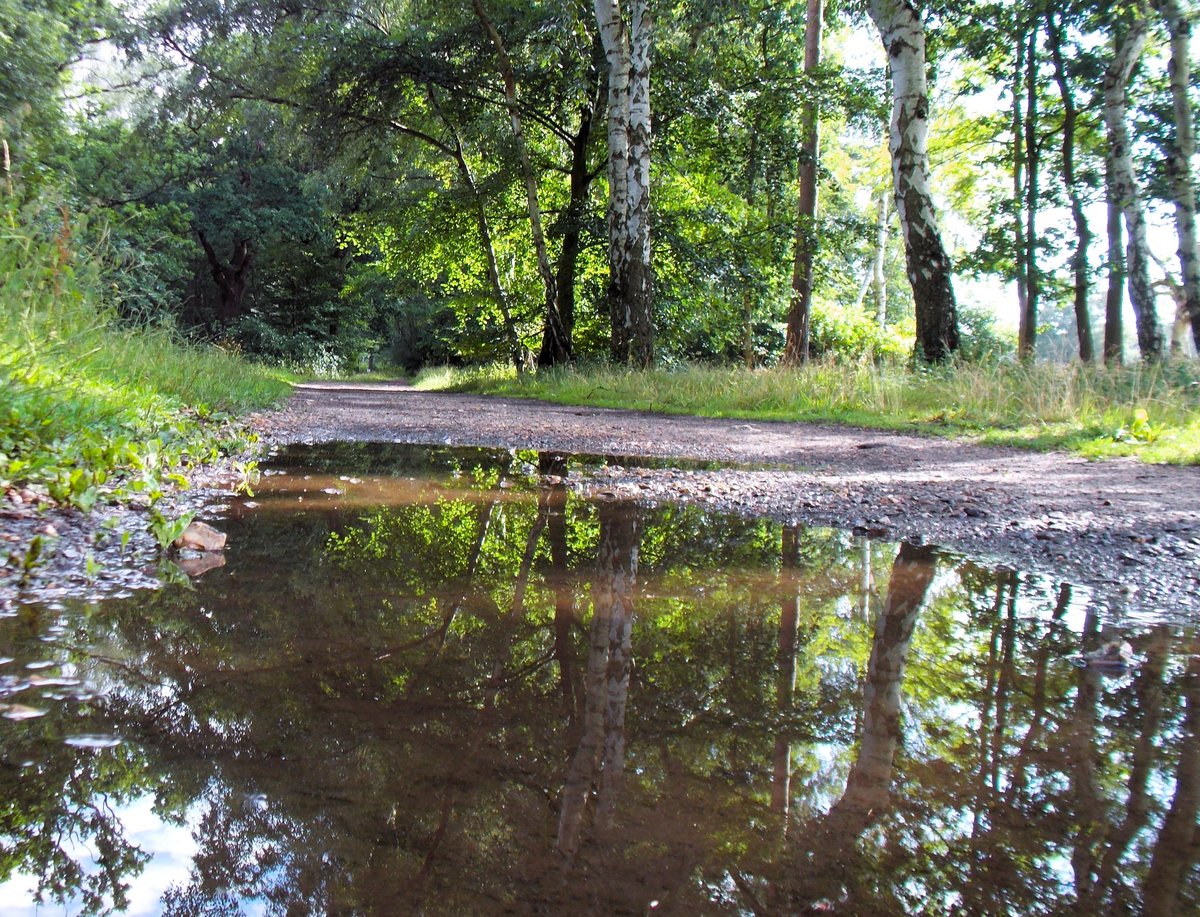 #woodhallspa #vikingway #FridayVibes #loveukweather