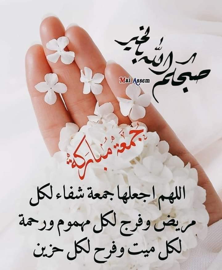 d_zynt's tweet photo. صباح الخير
جمعة مباركه علي الجميع ان شاء الله❤ https://t.co/QlntnLlNi6