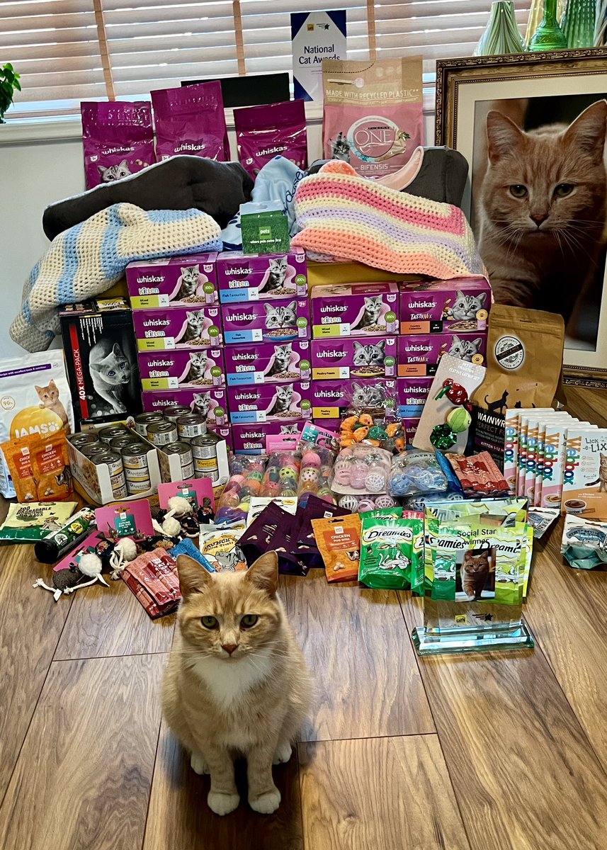 Good morning, I’ve spent my £200 @PetsatHome voucher from winning my @CatsProtection award, I will be giving all of these items to 3 cat rescue centres tomorrow. #nationalcatawards #adoptdontshop #catsprotection #rescuecat #feelgoodfriday