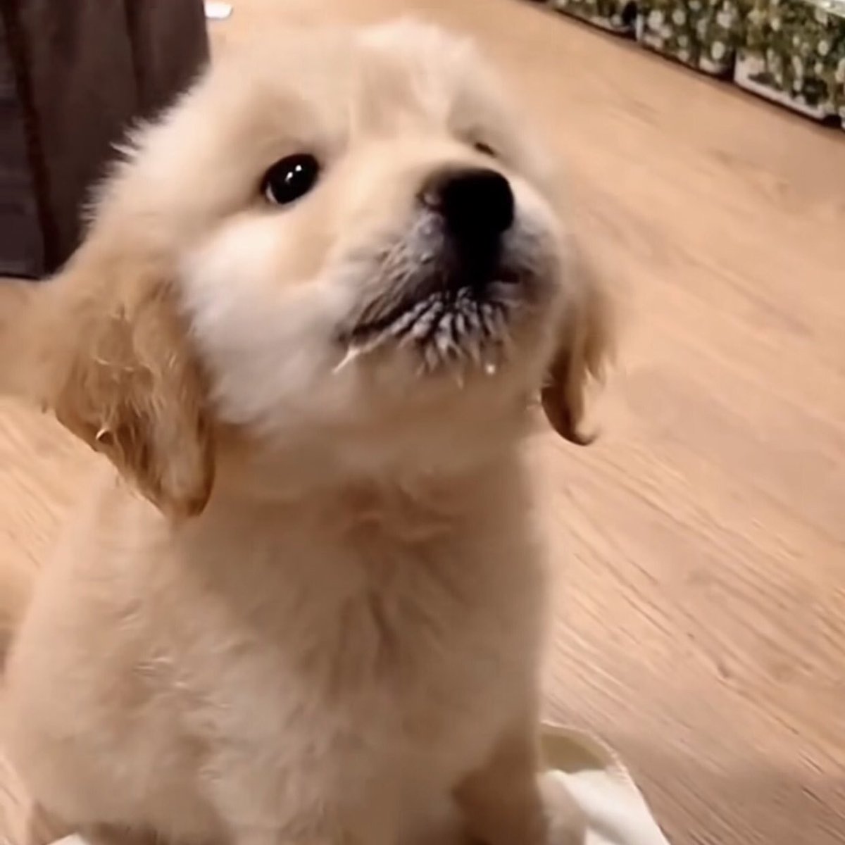 นมในแก้วหายไปไหน
ไม่รุ้ ไม่ได้กิม