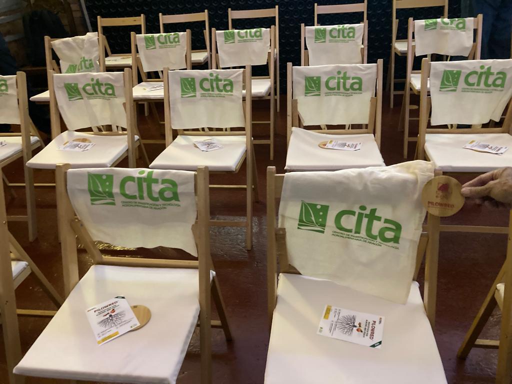 CITAAragon's tweet photo. 🌱Presentando a las filiales de @Agromillora_ el #portainjerto #PILOWRED en la finca Raimat de Lleida

#mejoragenética #almendro #investigación https://t.co/6yD7iu0KnB