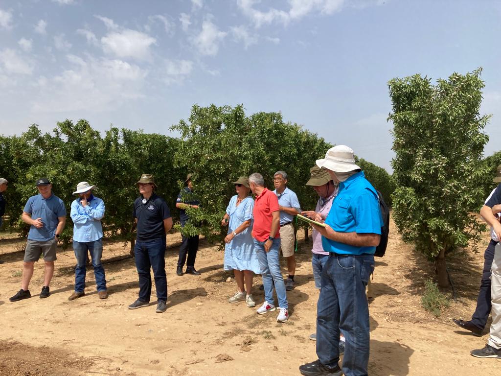 CITAAragon's tweet photo. 🌱Presentando a las filiales de @Agromillora_ el #portainjerto #PILOWRED en la finca Raimat de Lleida

#mejoragenética #almendro #investigación https://t.co/6yD7iu0KnB