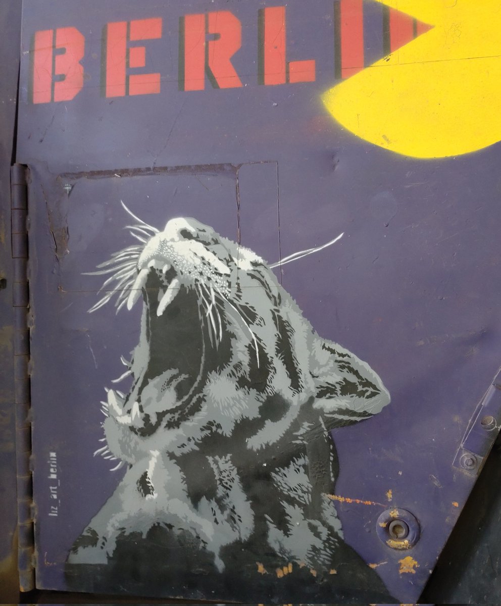 TheShuriNetwork tweet media